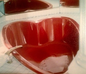 Photo I took in 1986 of the heart-shaped tub in my suite at Mount Airy Lodge in the Poconos.